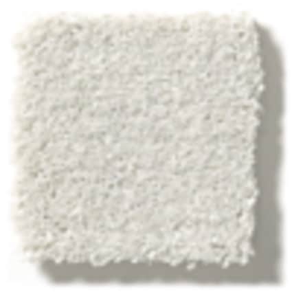 Shaw Jackson Heights Winter's Day Texture Carpet with Pet Perfect Plus-Sample